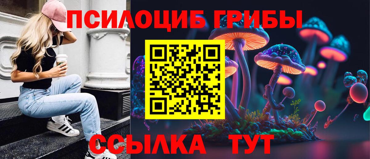 Галлюциногенные грибы Psilocybe  Вход с VPN  Чебоксары 